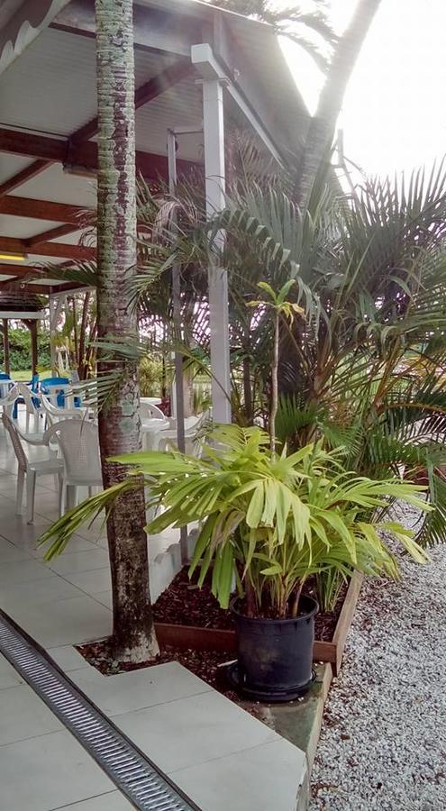Hotel Des Amandiers كايان المظهر الخارجي الصورة