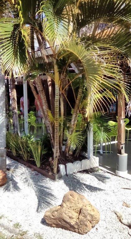 Hotel Des Amandiers كايان المظهر الخارجي الصورة